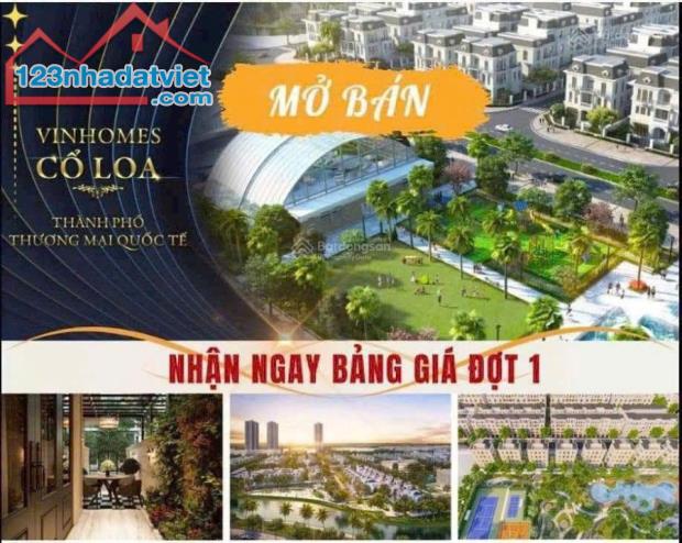 Cần bán quỹ căn Vinhomes Cổ Loa – Đông Anh, siêu đẹp, giá cả siêu hợp lý - Ảnh 3