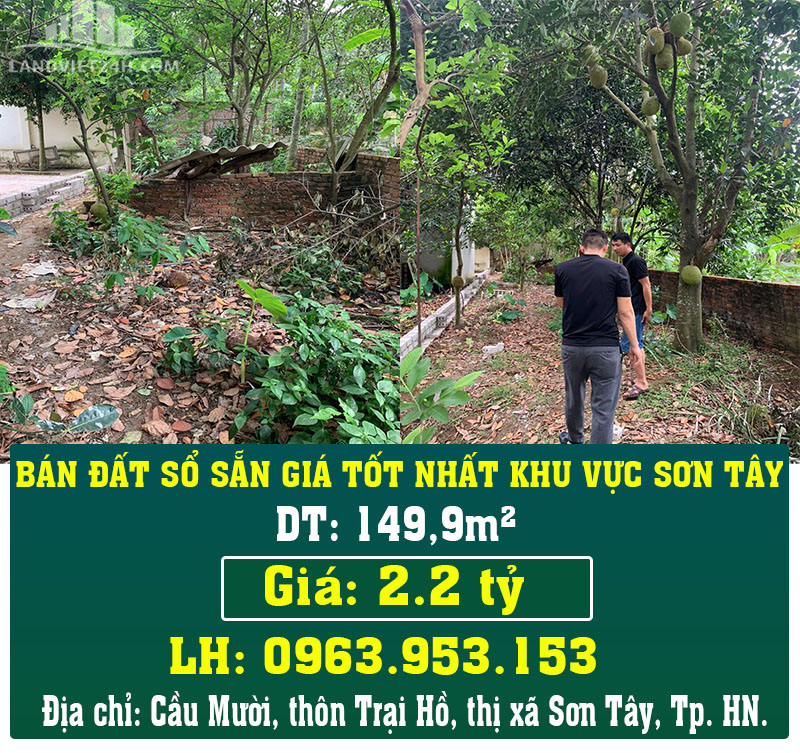 CHÍNH CHỦ BÁN ĐẤT SỔ SẴN GIÁ TỐT NHẤT KHU VỰC SƠN TÂY - Ảnh chính