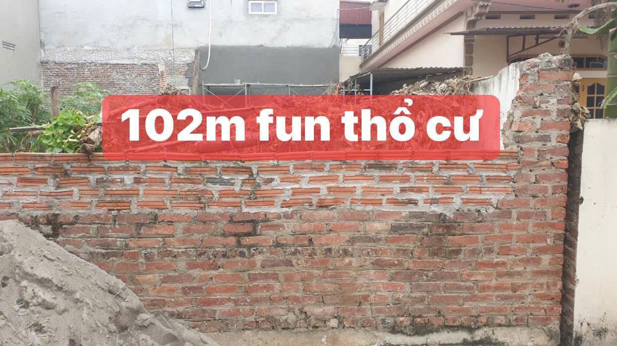 NÓI DDEESN ĐÁT LẠC NÔNG MAI ĐÌNH HUYỆN SS HÀ NỘI TIỆN CICH TRÀN VIÊN DT 100 M FUN TC - Ảnh 2