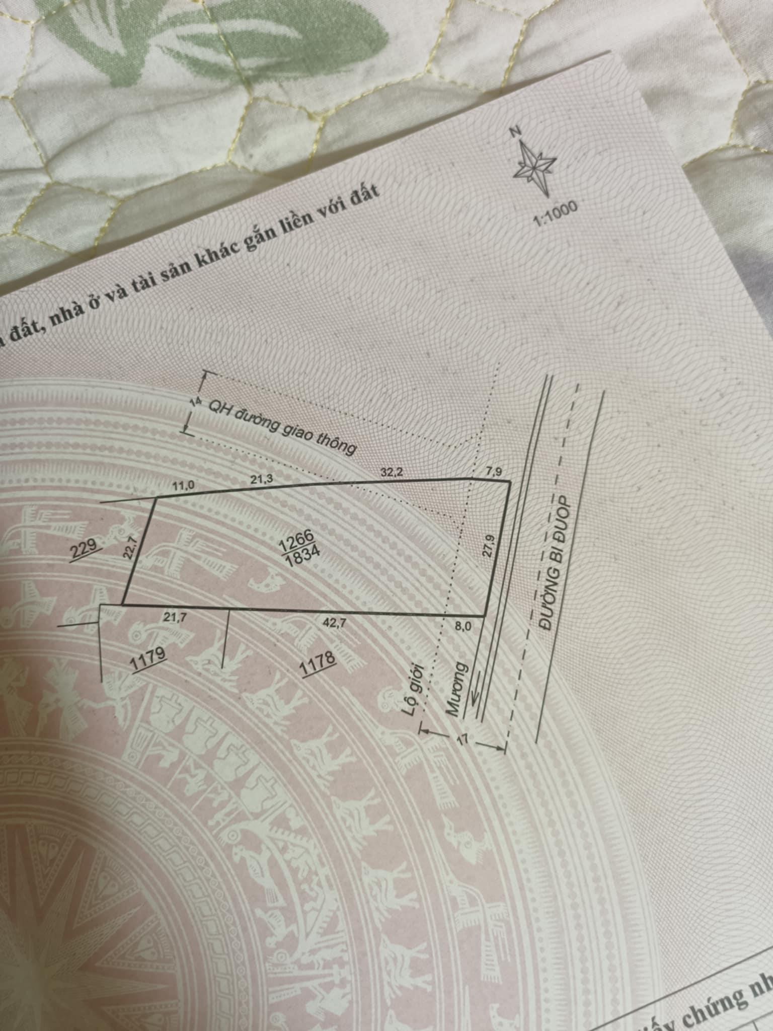 CHÍNH CHỦ CẦN Bán Lô Đất Thị Trấn Lạc Dương, Huyện Lạc Dương, Lâm Đồng. - Ảnh 1