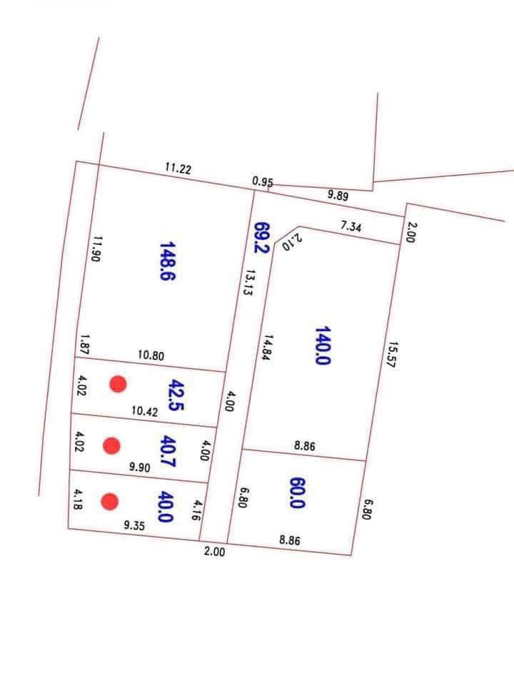 Chính chủ cần tiền bán mảnh đất tại Xâm Động - Vân Tảo - Thường Tín - Hà Nội. - Ảnh 2