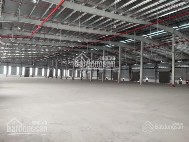 Công ty chúng tôi đang còn kho 1267 m2 trống với một số thông tin chính sau - Ảnh 1