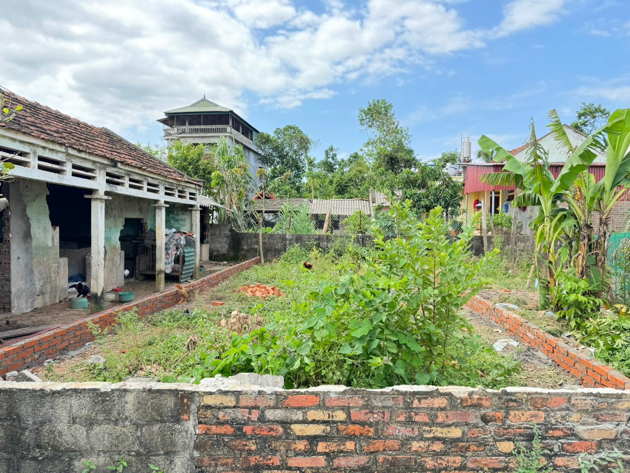 Bán đất Hợp Châu, Tam Đảo, Vĩnh Phúc. Mặt nhựa kinh doanh, View đồng, DT 81m, giá 1,5 tỷ - Ảnh 1