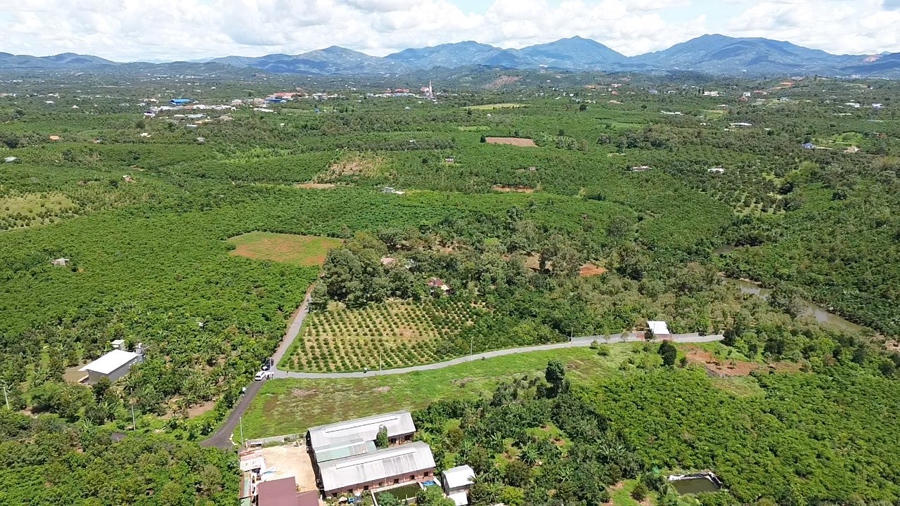 400 TRIỆU 1 LÔ DUY NHẤT - SĂN MÂY TẠI BẢO LÂM LÂM ĐỒNG - Ảnh chính