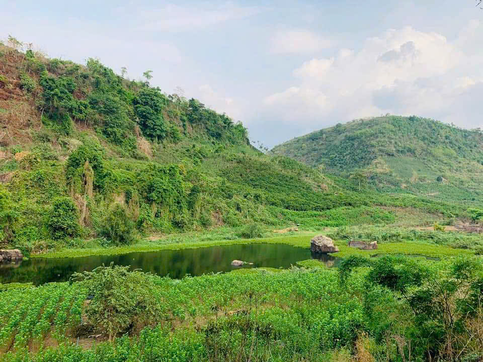 Cơ hội sở hữu lô đất nền đất kinh doanh siêu đẹp tại đức trọng lâm đồng - Ảnh chính