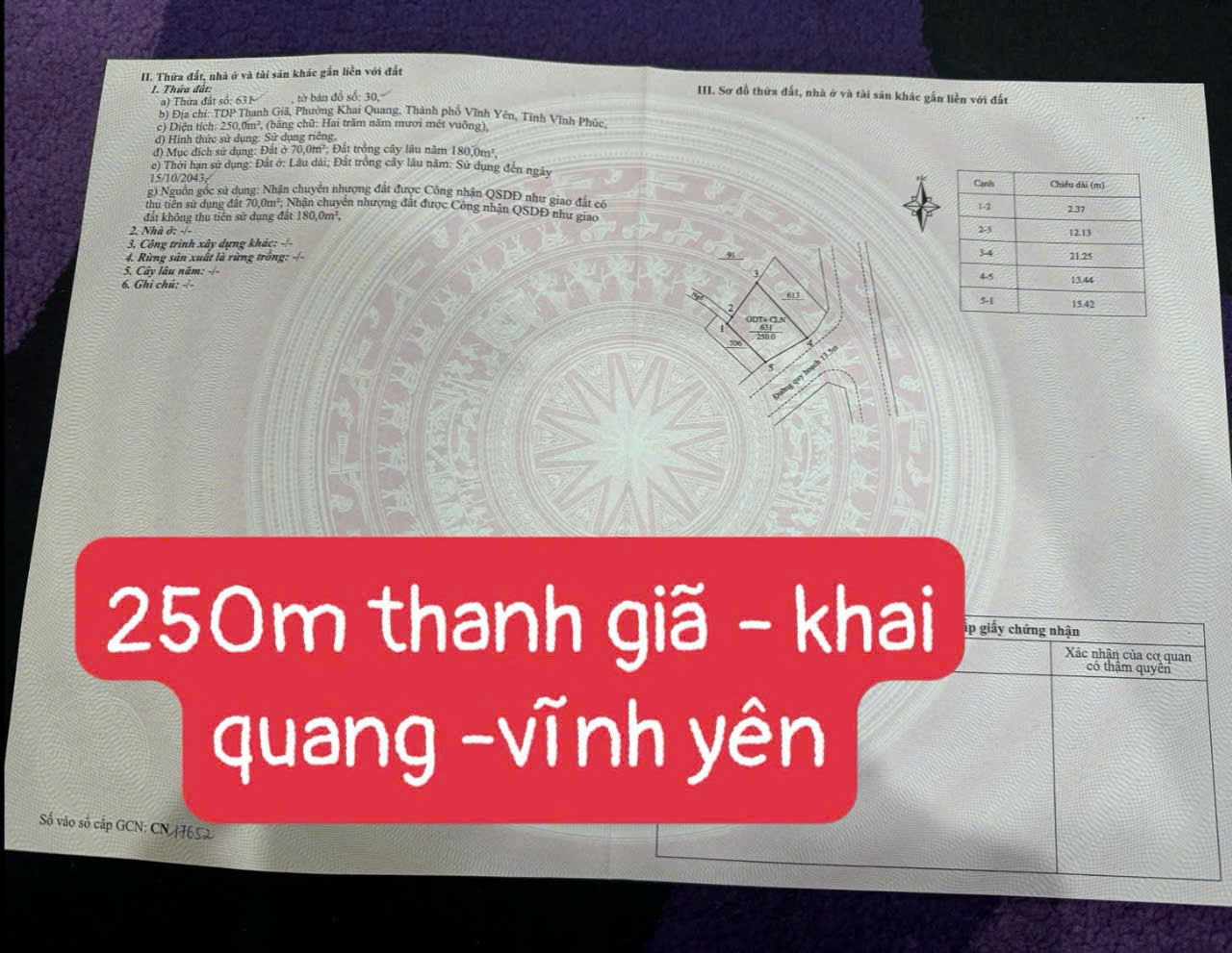 Bán ô giáp góc 250m2 xKhai Quang, Vĩnh Yên, Vĩnh Phúc - Ảnh 4