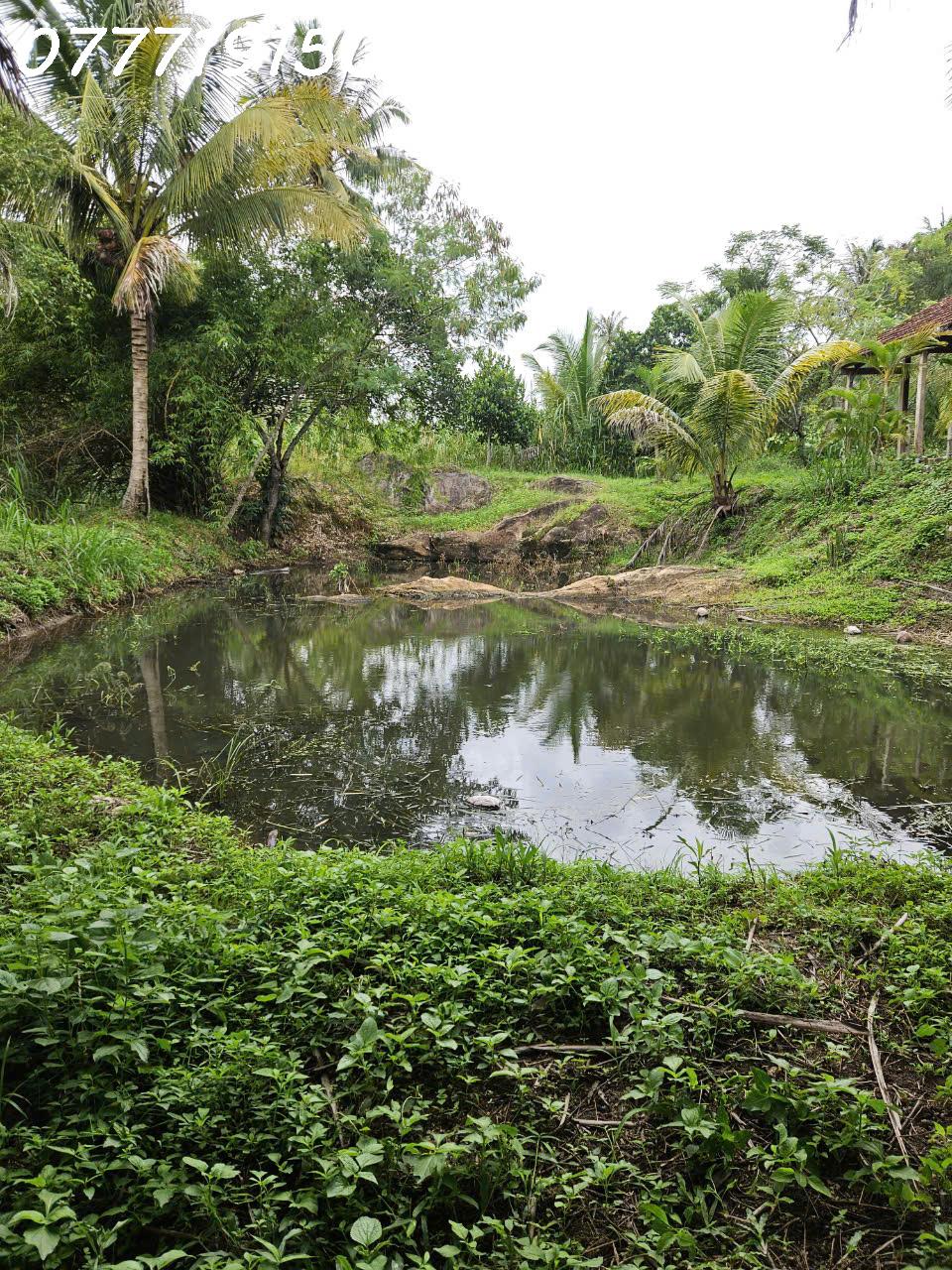 View suối đẹp mê ly tại Đăk Lak. 68m suối giá yêu thương - Ảnh 2