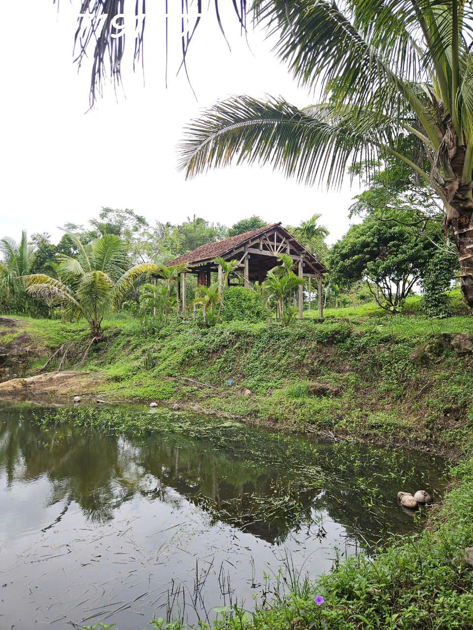 View suối đẹp mê ly tại Đăk Lak. 68m suối giá yêu thương - Ảnh 3