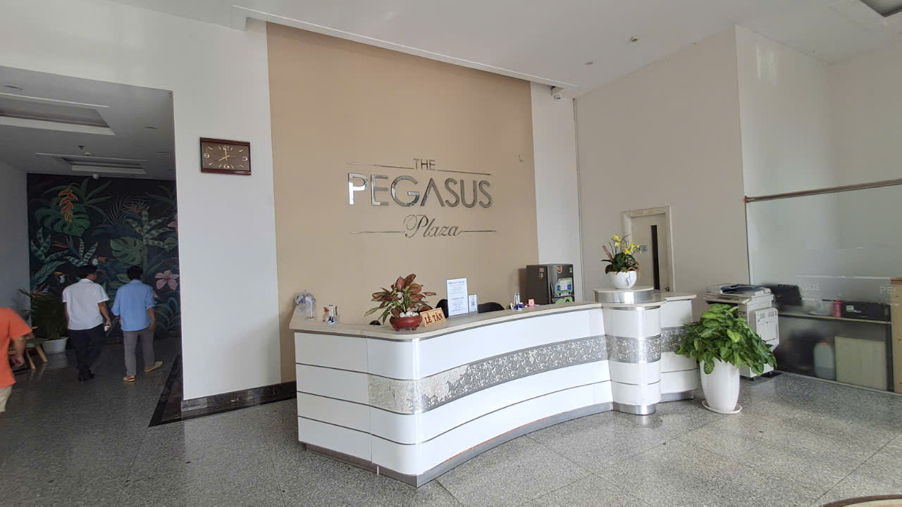 Bán căn hộ Penthouse - Pegasus Biên Hòa - NƠI THỂ HIỆN ĐẰNG CẤP THƯỢNG LƯU - Ảnh 3