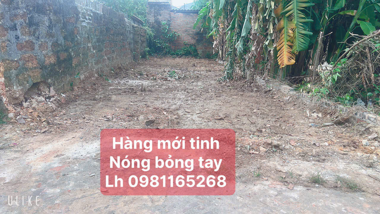 LOANH QUANH GIÁ CHƯA ĐẾN TỶ DT 77,9  M FUN THỔ CƯ TẠI THÁI LAI MINH TRÍ TIỆN ÍCH TRANF VIỀN - Ảnh 4