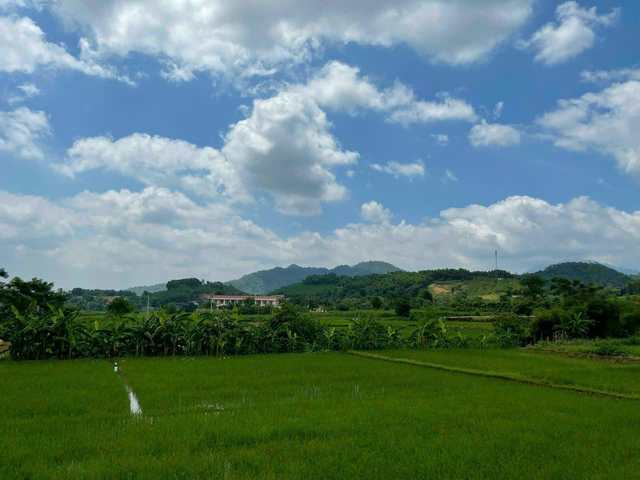 ĐẤT CHÍNH CHỦ - GIÁ TỐT - Vị Trí Đẹp Tại Thôn Quýt, Xã Yên Bài, Huyện Ba Vì, Thành phố Hà Nội - Ảnh 2