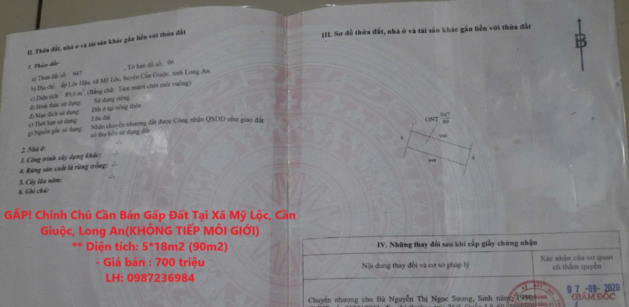 GẤP! Chính Chủ Cần Bán Gấp Đất Tại Xã Mỹ Lộc, Cần Giuộc, Long An(KHÔNG TIẾP MÔI GIỚI) - Ảnh chính