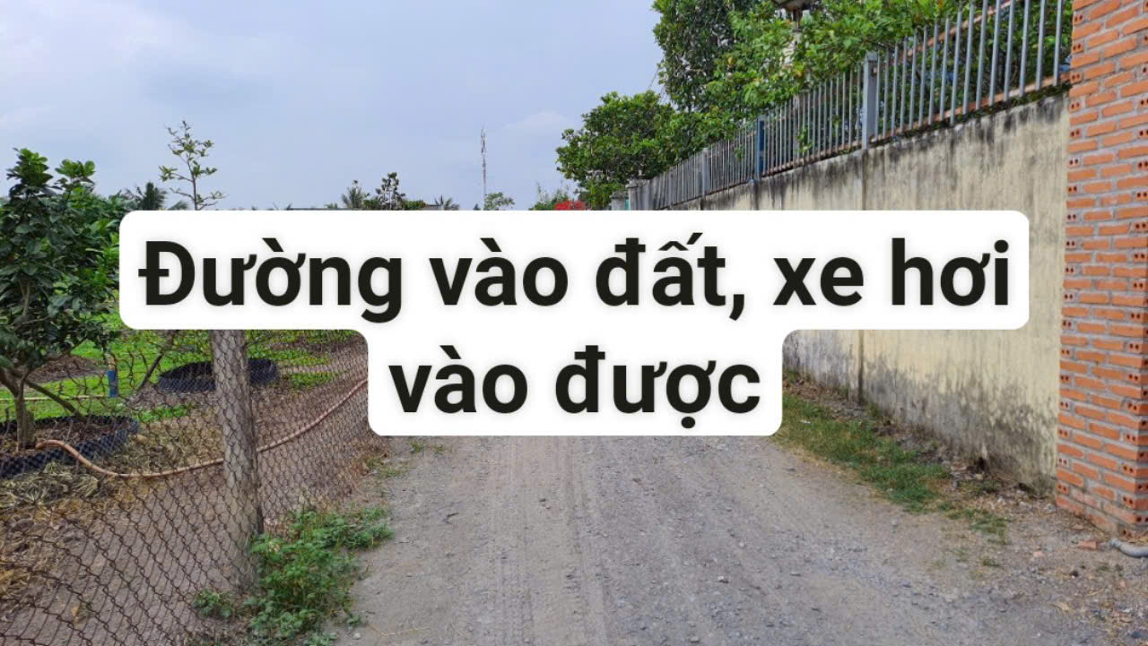 GẤP! Chính Chủ Cần Bán Gấp Đất Tại Xã Mỹ Lộc, Cần Giuộc, Long An(KHÔNG TIẾP MÔI GIỚI) - Ảnh 2