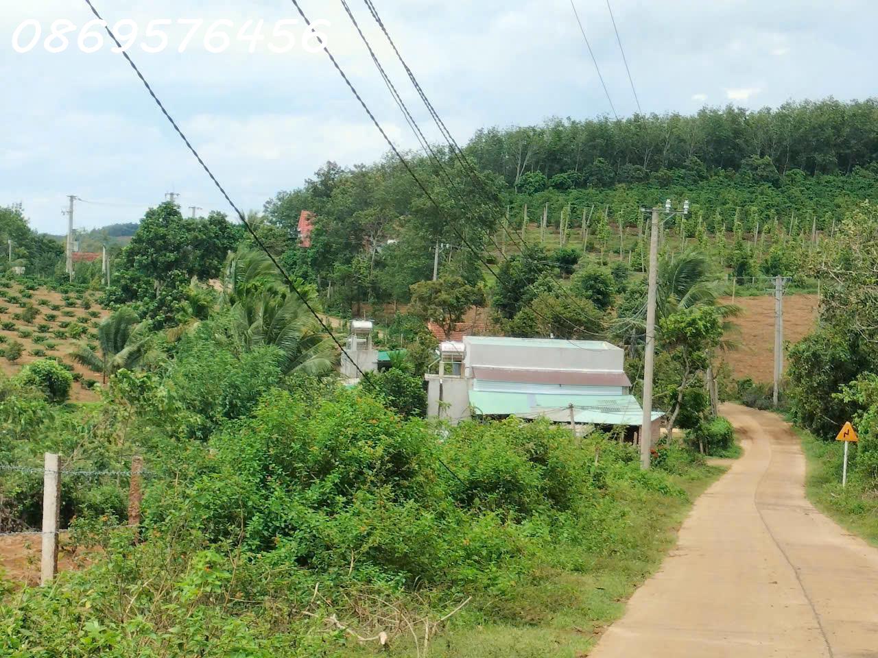 BÁN ĐẤT LÀM VƯỜN TẠI SÔNG HINH, PHÚ YÊN - Ảnh 4