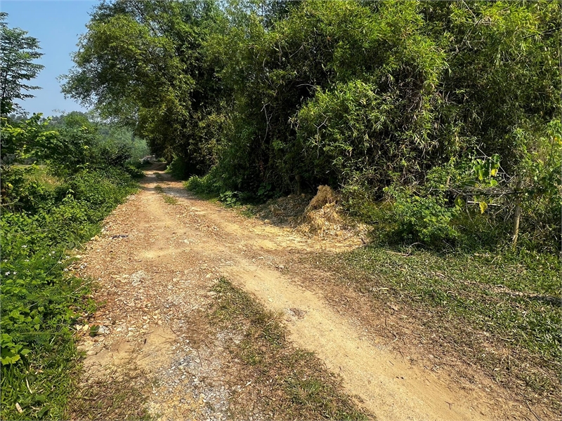 Cần bán đất đồi làm Homestay, kinh doanh dịch vụ du lịch, diện tích 1,3ha giá 1,5 tỷ. - Ảnh 3