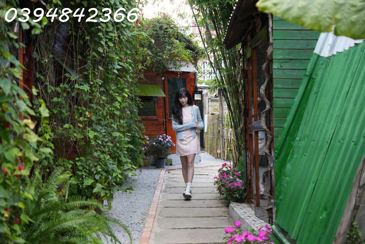 🏠 CHO THUÊ HOMESTAY ĐƯỜNG THÁNH MẪU-P7 DALAT - Ảnh 1