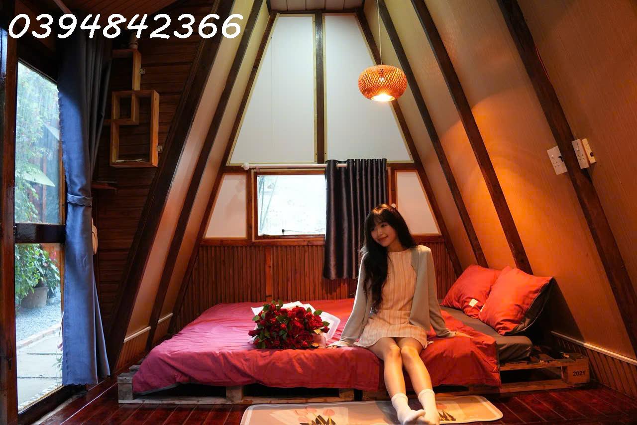 🏠 CHO THUÊ HOMESTAY ĐƯỜNG THÁNH MẪU-P7 DALAT - Ảnh 3