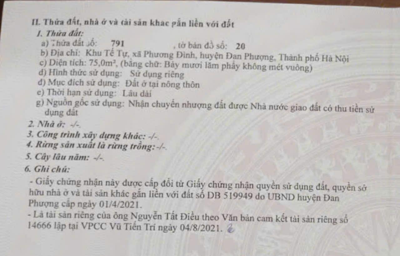 ĐẤT ĐẸP - GIÁ TỐT - Cần Bán Nhanh Lô Đất Vị Trí Đắc Địa Tại Phương Đình, Đan Phượng, Hà Nội - Ảnh 2