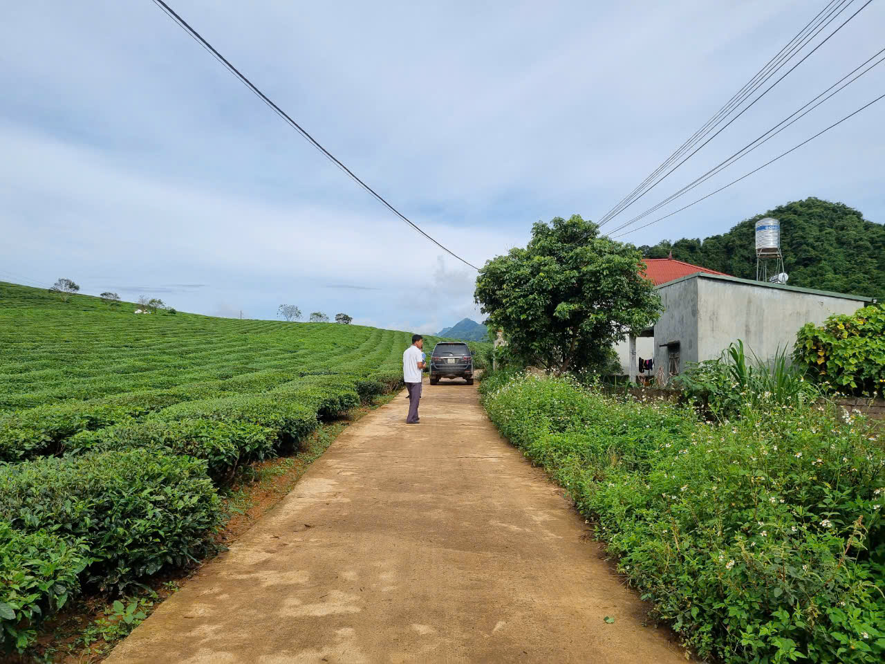 Bán đất trung tâm TT Nông Trường, Mộc Châu có view chè siêu đẹp - Ảnh chính