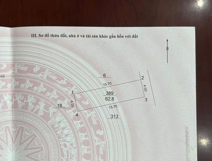 THỬA ĐẤT VÀNG - MẶT TIỀN 4M - XÂY CCMN DÒNG TIỀN TỶ ĐỒNG/NĂM - VỊ TRÍ ĐẮC ĐỊA Tại Trần Cung - Ảnh 4