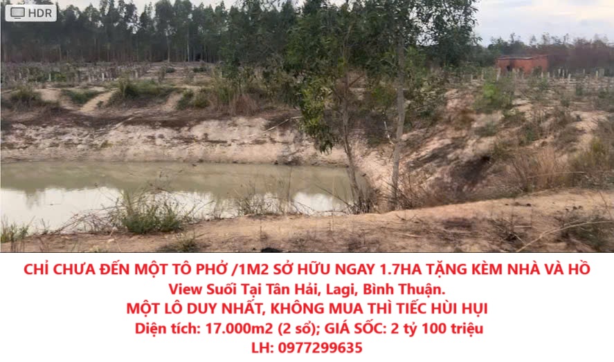 CHỈ CHƯA ĐẾN MỘT TÔ PHỞ /1M2 SỞ HỮU NGAY 1.7HA TẶNG KÈM NHÀ VÀ HỒ View Suối Tại Tân Hải, Lagi, Bình - Ảnh chính