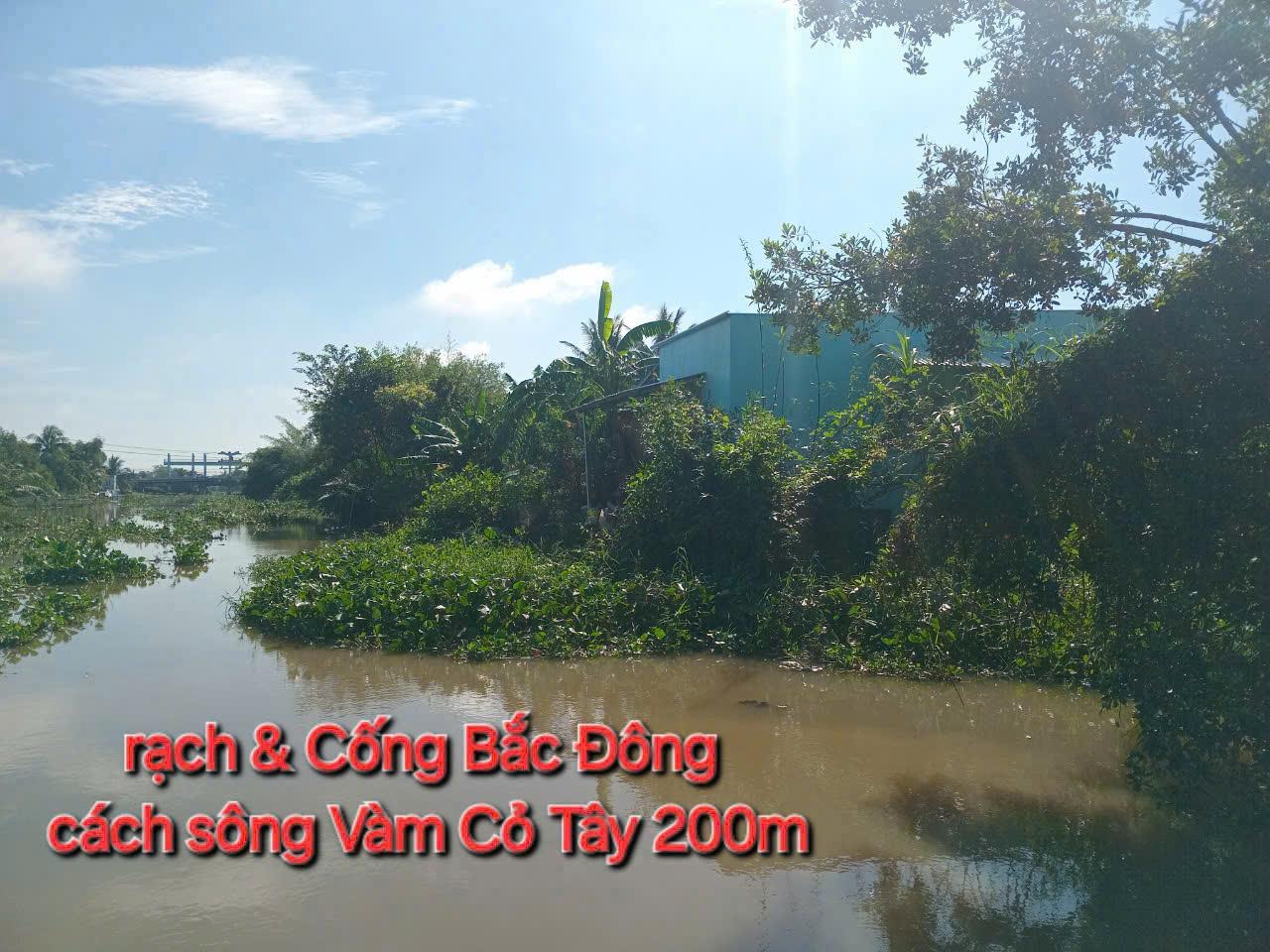 ĐẤT ĐẸP- GIÁ TỐT - Chính Chủ Cần Bán Nhanh Nhà Đất Tại Mỹ An, Thủ Thừa, Long An - Ảnh 1