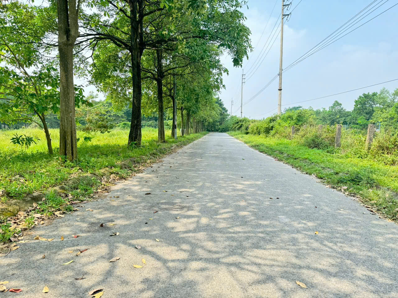 Bán nhà xây thô, sổ đỏ sang tên ngay KDT Hà Phong, Tiền Phong, Mê Linh, HN. 304m, giá 18,5 tỷ. - Ảnh chính