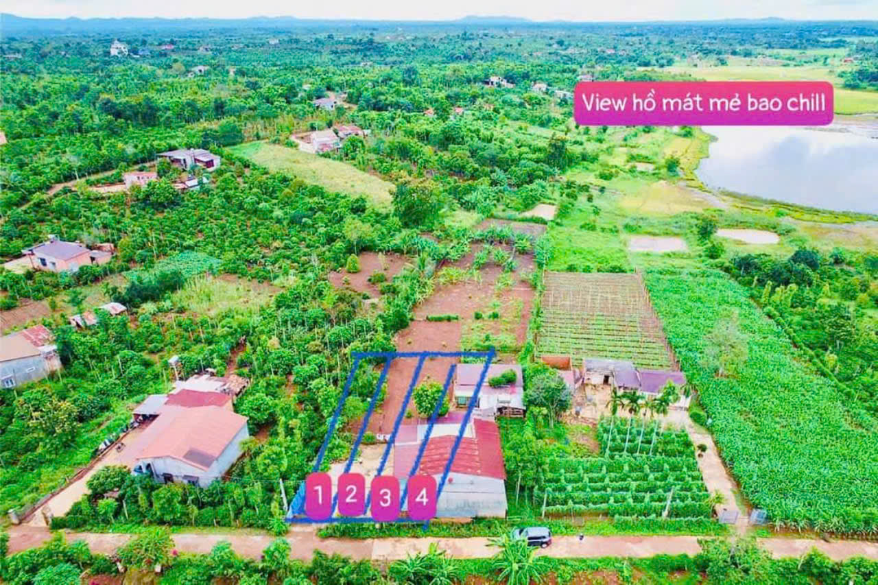 Bán đất đường bê tông view hồ 56 diện tích 250m2 sẵn 60m2 thổ cư chỉ 179tr view rất mát - Ảnh 1