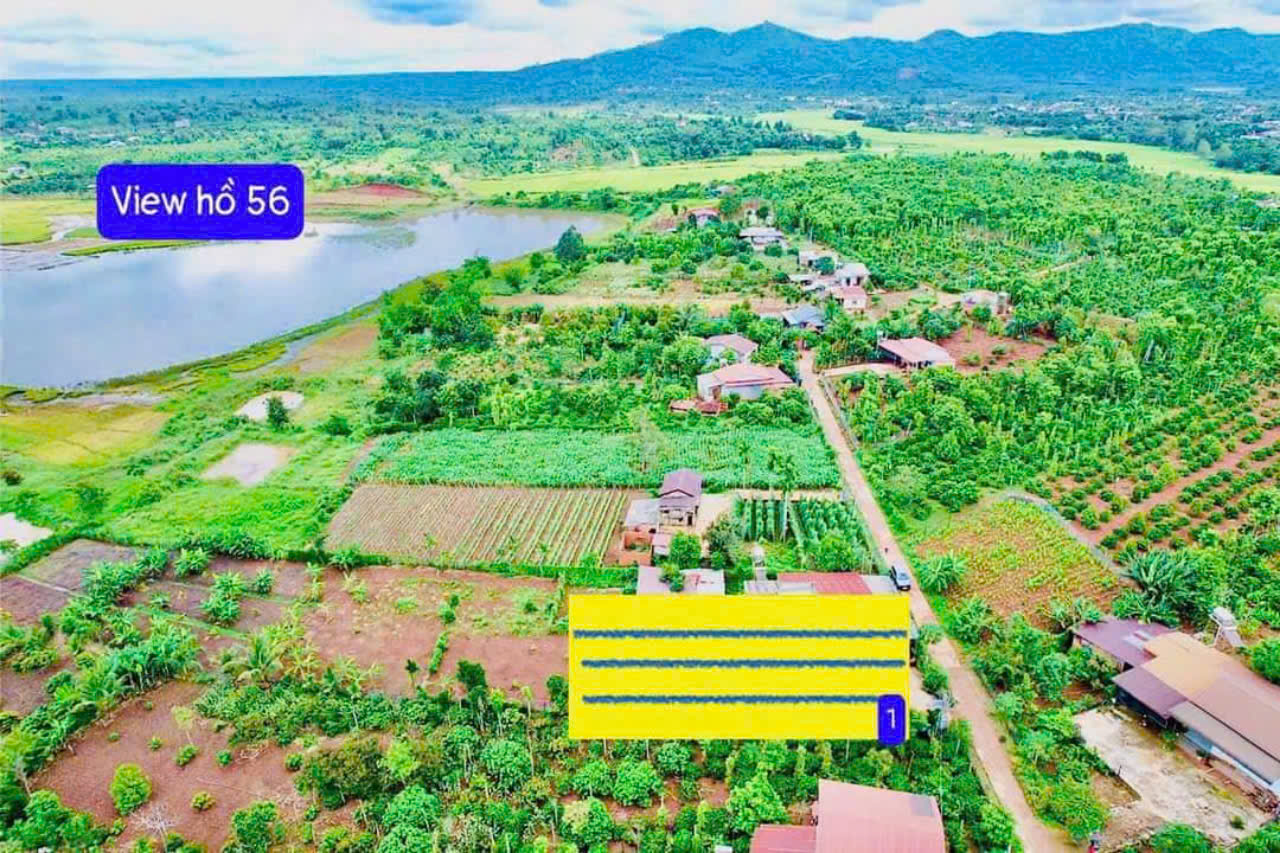 Bán đất đường bê tông view hồ 56 diện tích 250m2 sẵn 60m2 thổ cư chỉ 179tr view rất mát - Ảnh chính