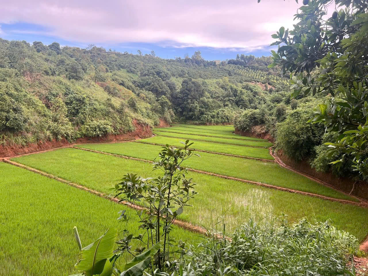 Bán Đất làm Homestay, Farmstay - Ảnh 1