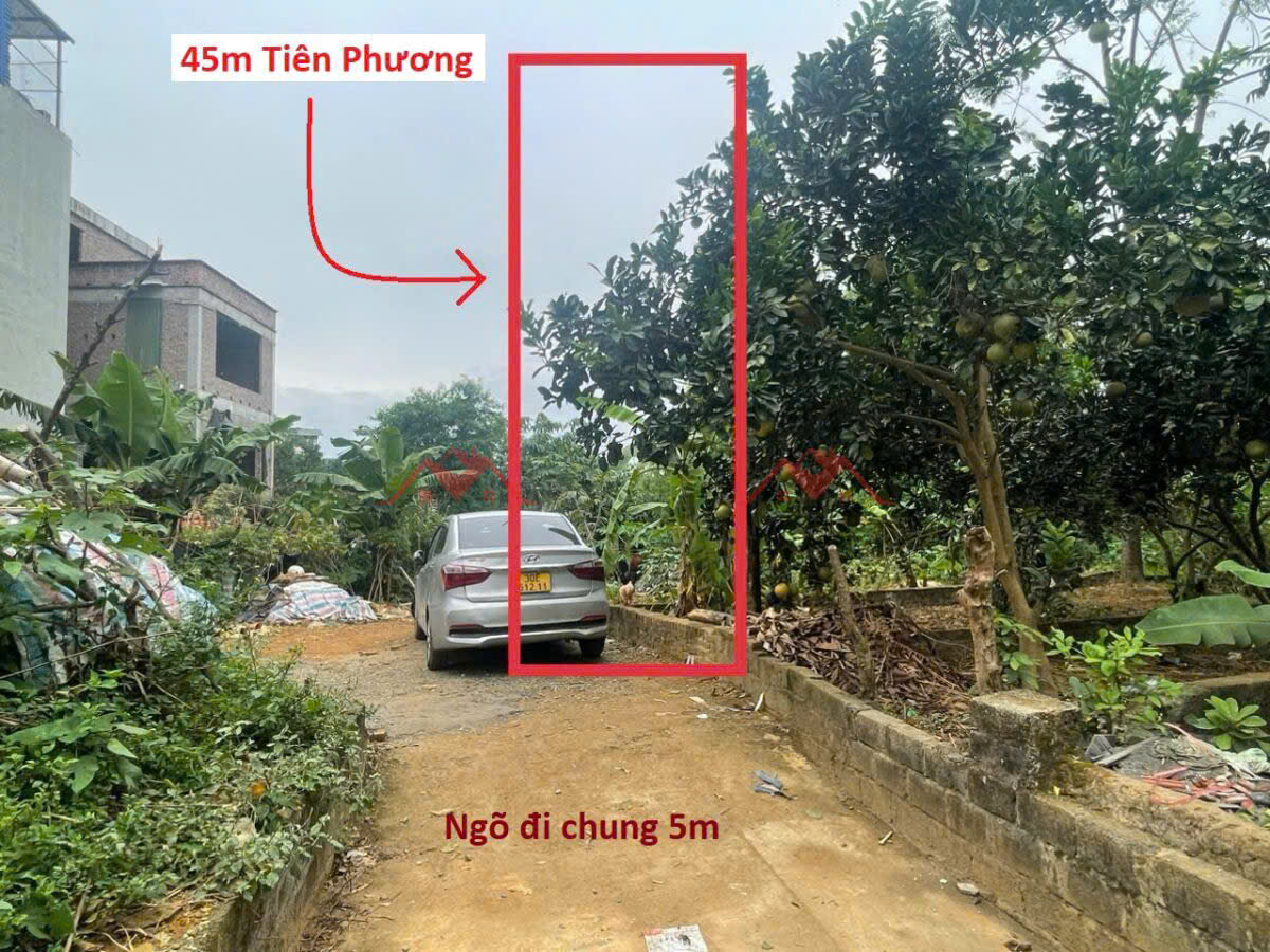 SIÊU PHẨM GIÁ ĐẦU TƯ CHỈ 1TY8 ĐẤT TẠI TIÊN PHƯƠNG-CHƯƠNG MỸ D/T:45M - Ảnh chính