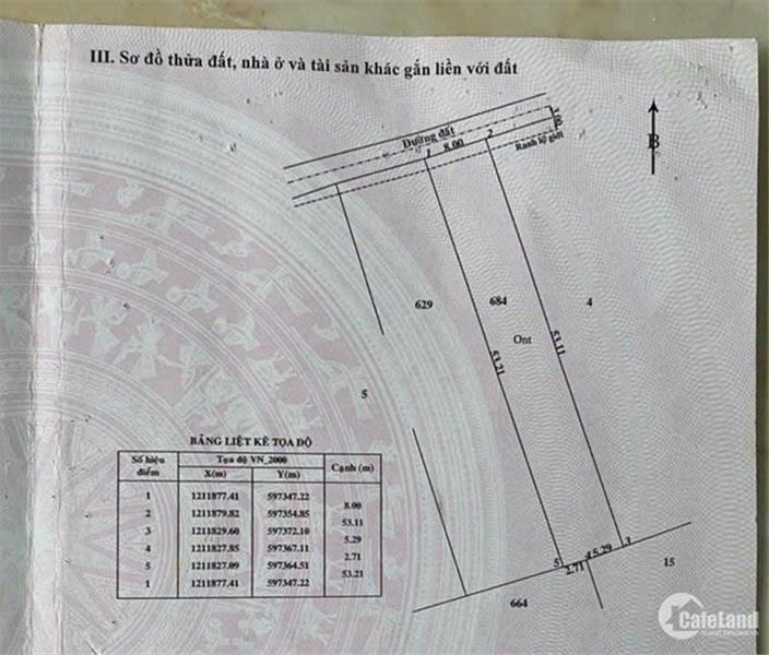 ĐẤT chính chủ Cần Bán nhanh lô đất vị trí đẹp tại xã Bình Mỹ, huyện Củ Chi, TPHCM - Ảnh chính