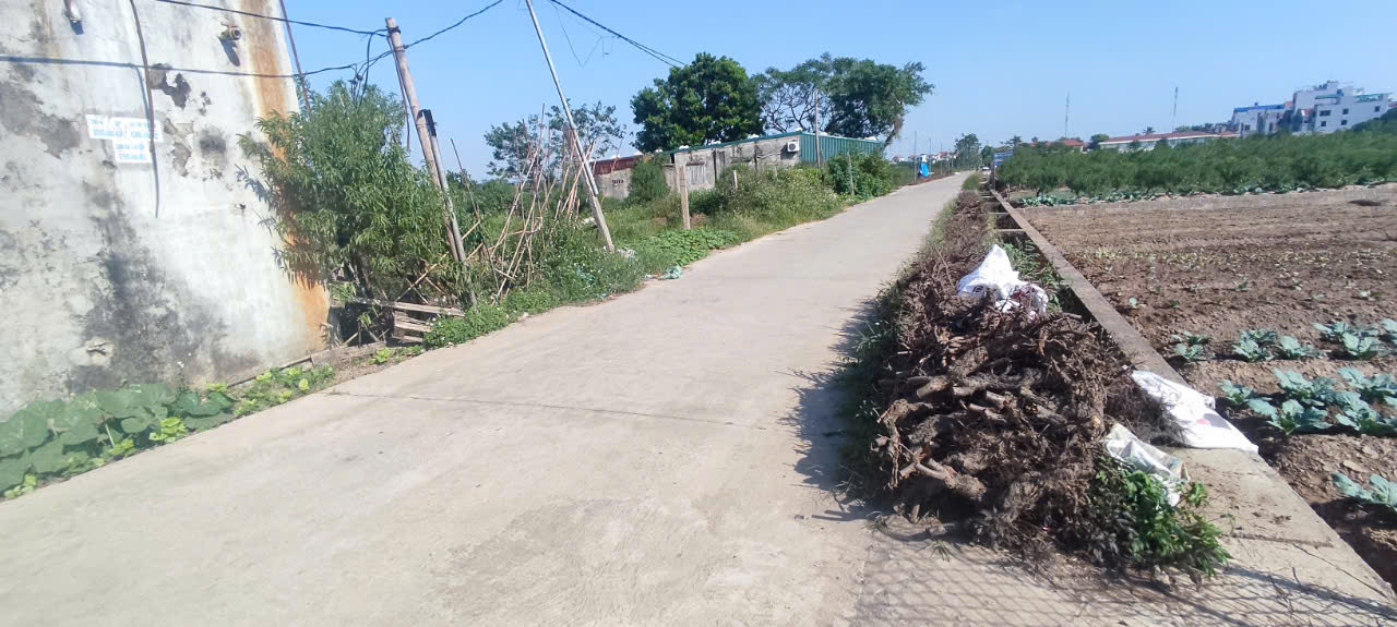 ĐẤT ĐẸP - GIÁ TỐT - Vị Trí Đắc Địa Tại Thường Tín, Thành Phố Hà Nội - Ảnh chính