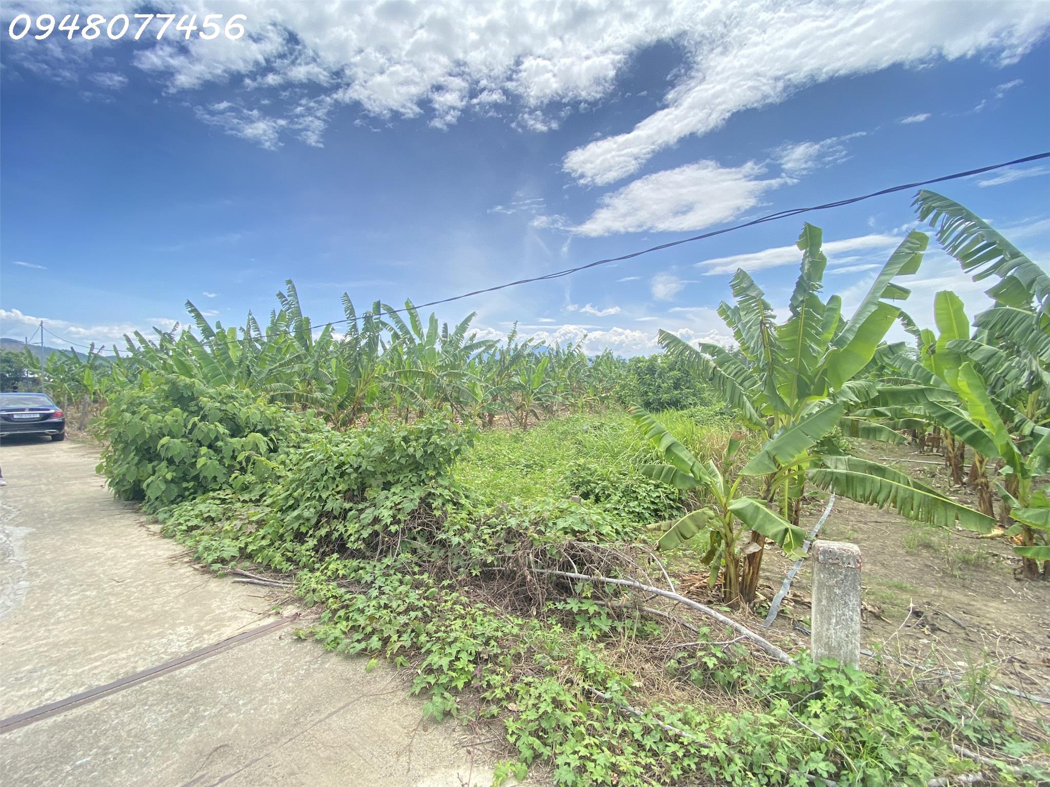 5 lô view sông c yến - Ảnh 3