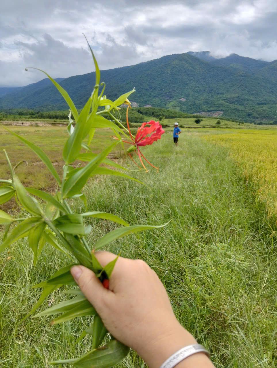 Đất Đẹp - Giá Tốt - Chính Chủ Cần Bán Lô Đất Vị Trí Đẹp Tại Xã  Ninh Hưng - Ninh Hòa, Khánh Hòa - Ảnh 4