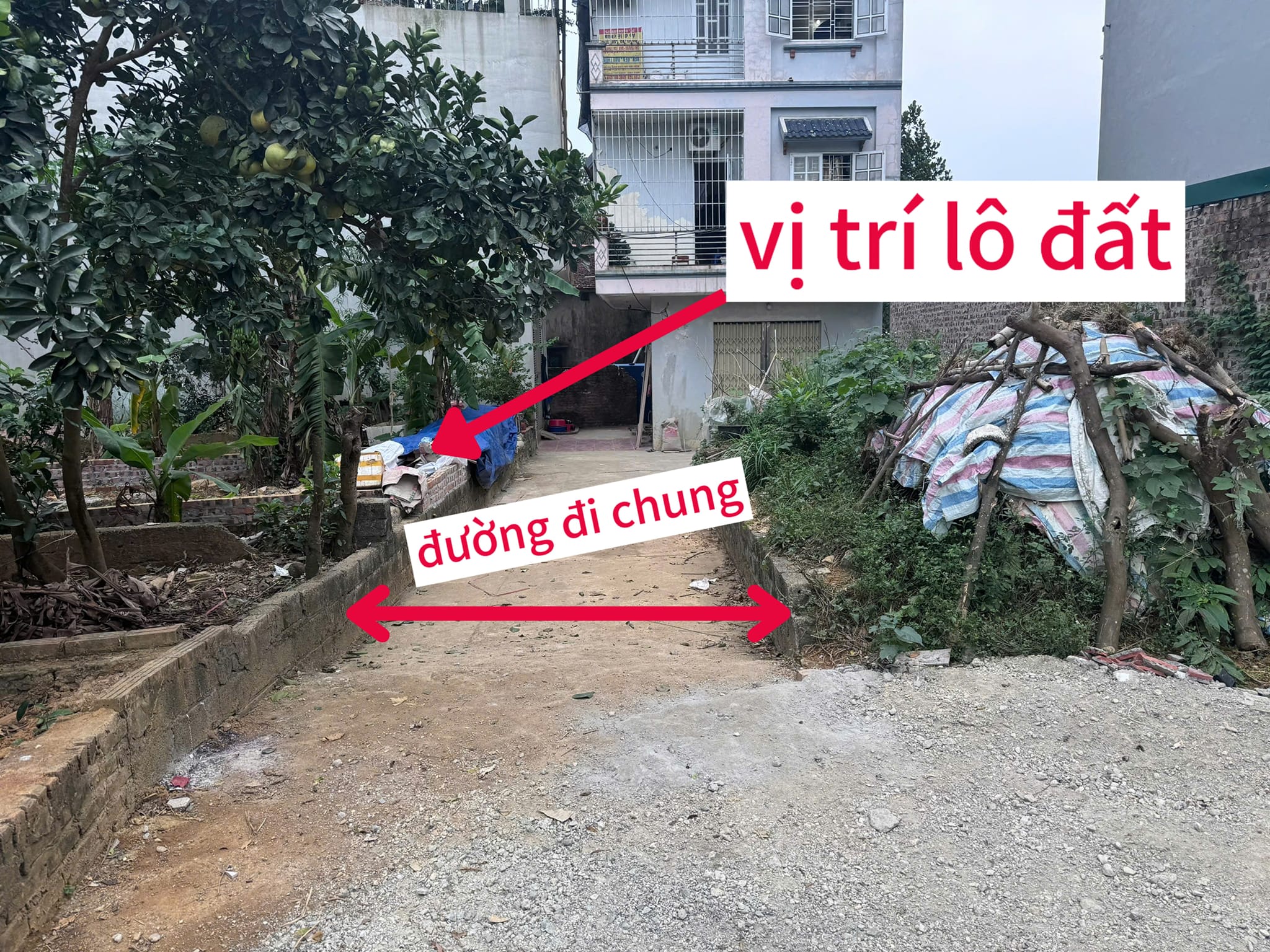 Chính chủ gửi bán lô đất 46,4m2, Đồng Nanh-Tiên Phương- Chương Mỹ-Hà Nội - Ảnh chính