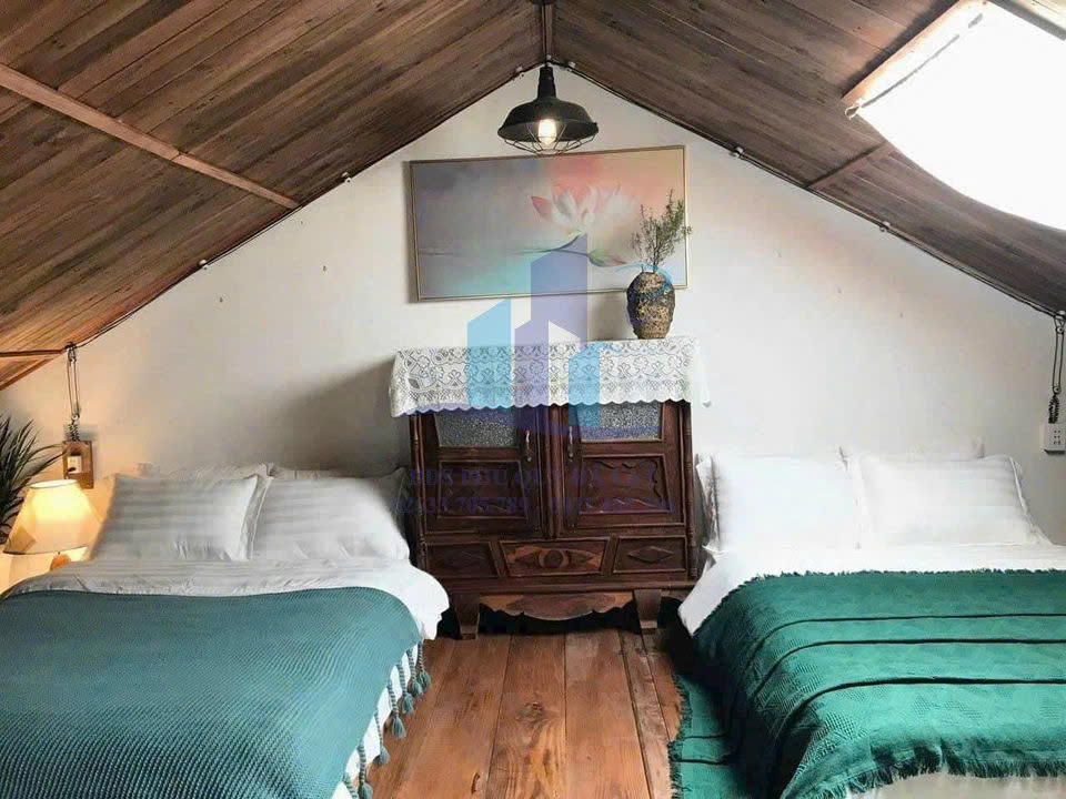 Bán homestay hẻm xe hơi đường Nguyễn Đình Chiểu, Phường 9, Đà Lạt 245,37mv - Ảnh 2