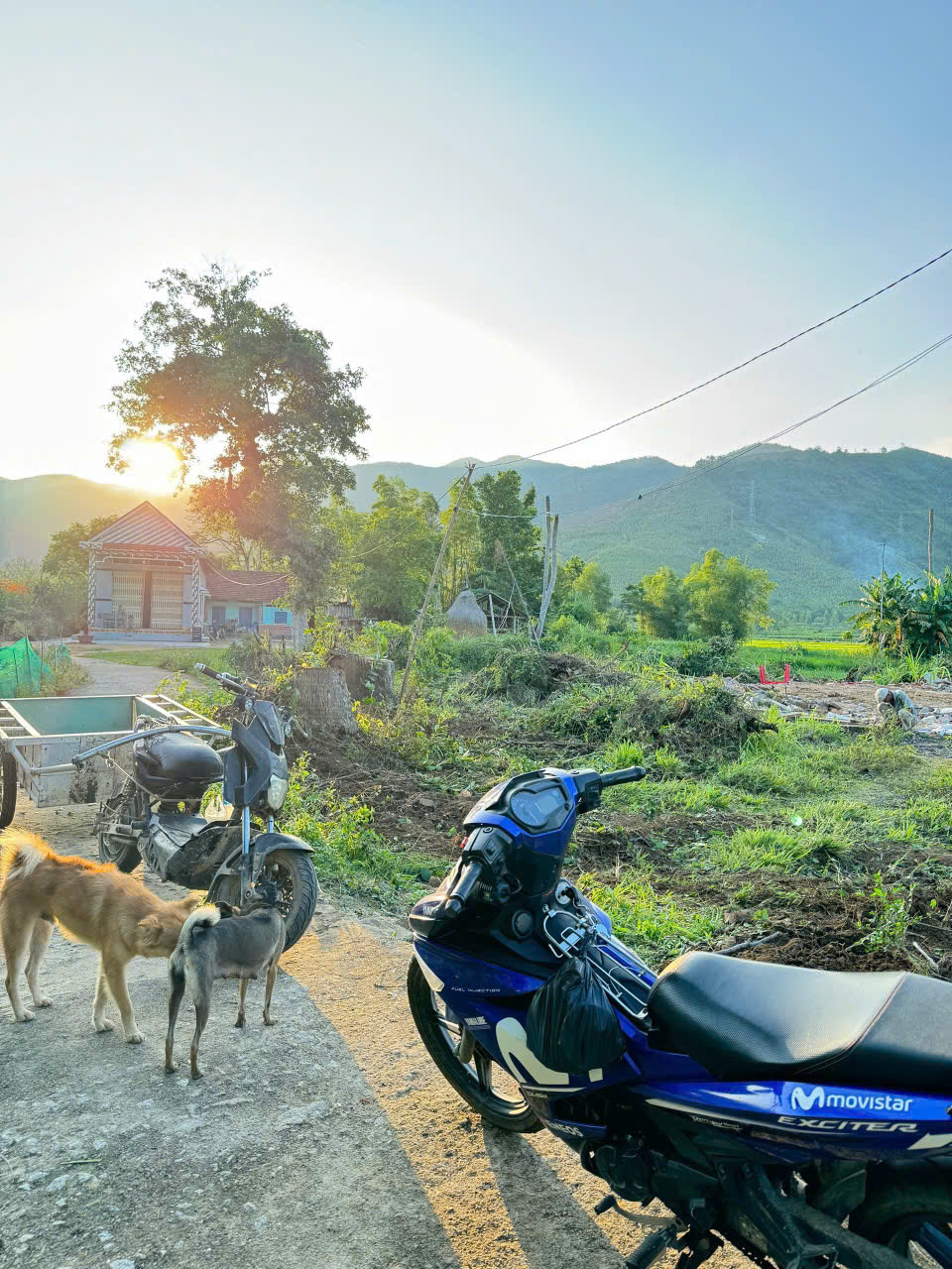 ĐẤT CHÍNH CHỦ - GIÁ TỐT - Vị Trí Đẹp Tại Thôn Hoà Nghĩa, Xã Mỹ Hiệp, Huyện Phù Mỹ, Tỉnh Bình Định - Ảnh 3