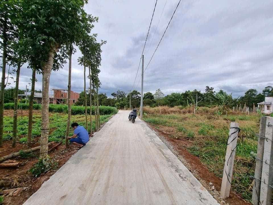 CHÍNH CHỦ Cần Bán Nhanh Nền Tại Xã Bàu Chinh, Châu Đức, Bà Rịa Vũng Tàu - Ảnh 1