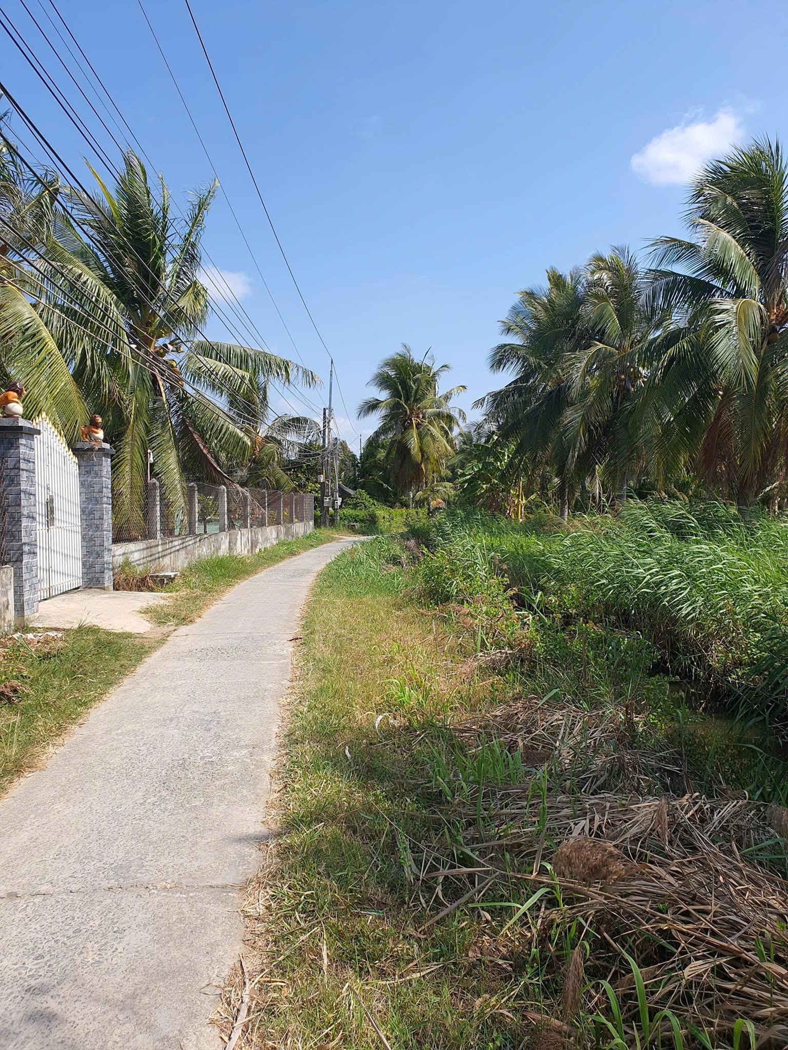 Chính Chủ Cần Bán 3,8 Công Đất Ao Vuông Tôm Tại Xã Định Trung, Bình Đại, Bến Tre - Ảnh 2