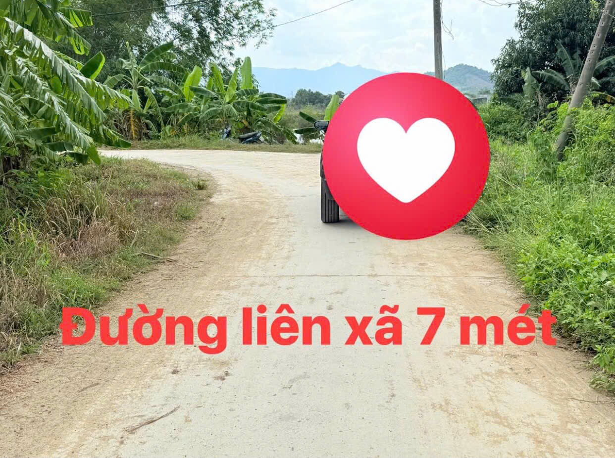 Chỉ 2 lô duy nhất full thổ cư Phước Lâm - Ninh Xuân - Ninh Hoà - Khánh Hoà giá rẻ - Ảnh chính