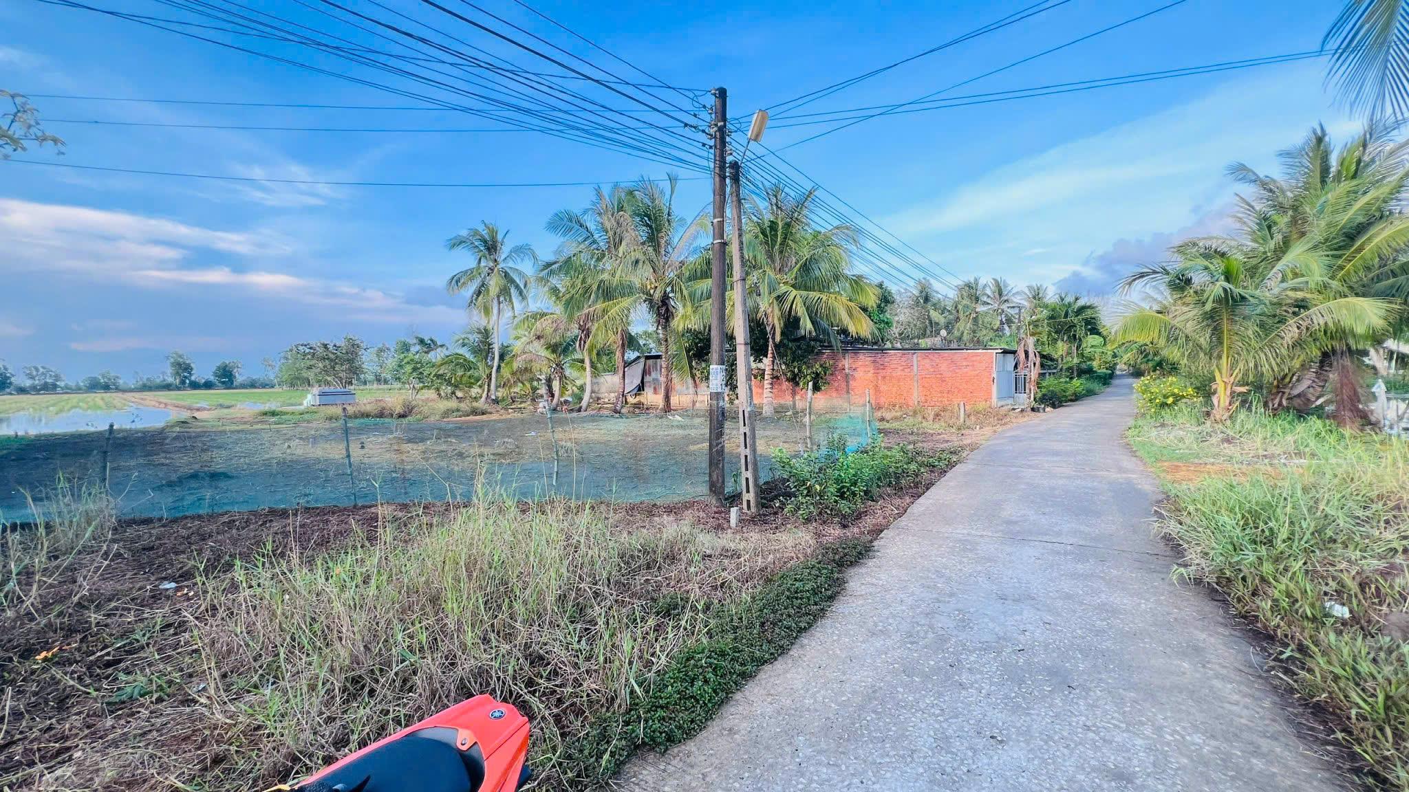 ĐẤT ĐẸP - GIÁ TỐT - Cần Bán Nhanh Lô Đất Tại Vĩnh Hưng - Vĩnh Lợi - Bạc Liêu - Ảnh 1