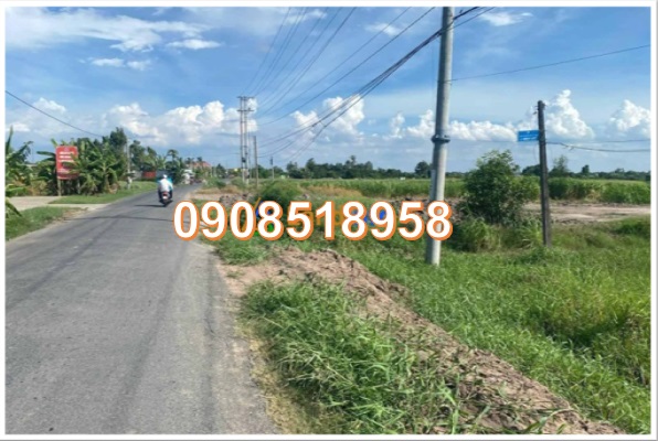 ☀️Bán 2307m2 đất vị trí đẹp tại ấp Bà Tiên 1, đường TL 877B, xã Phú Đông, Tân Phú Đông, Tiền Giang - Ảnh chính