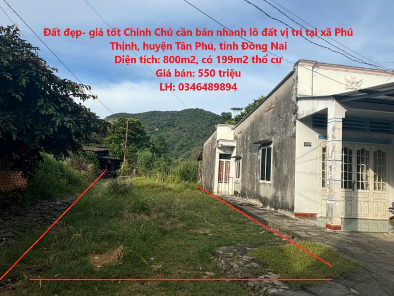 Đất đẹp- giá tốt Chính Chủ cần bán nhanh lô đất vị trí tại huyện Tân Phú, tỉnh Đồng Nai - Ảnh chính