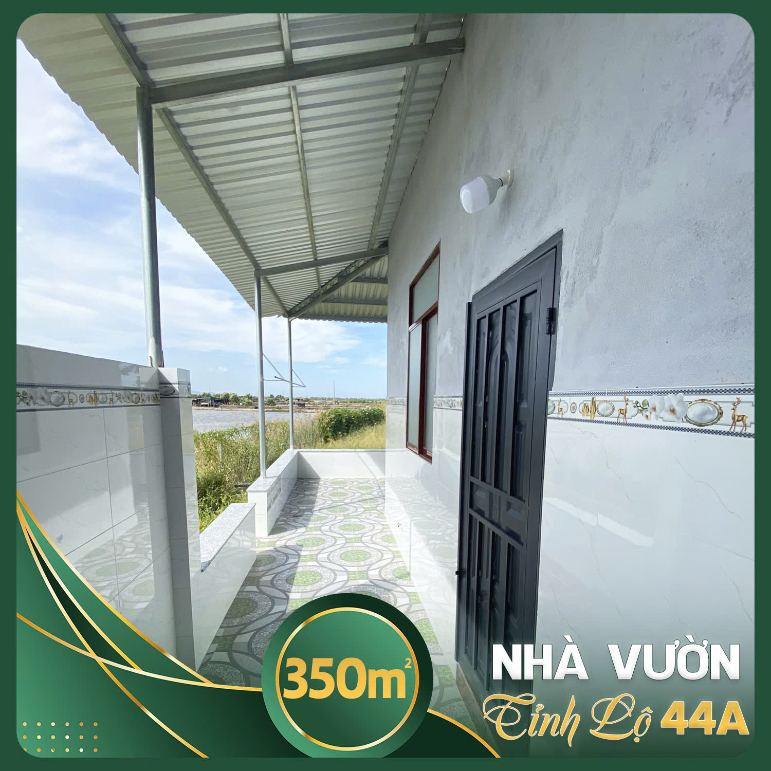 Nhà vườn 350m2 sát Dự Án Gold Coast Long Điền nhựa 12m TC 80 m2 SHR giá 5.5tr/m2 - Ảnh 3