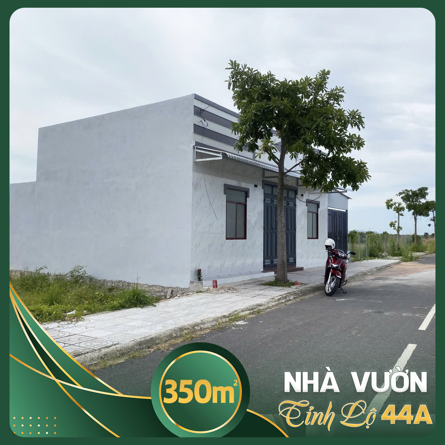 Nhà vườn 350m2 sát Dự Án Gold Coast Long Điền nhựa 12m TC 80 m2 SHR giá 5.5tr/m2 - Ảnh 2