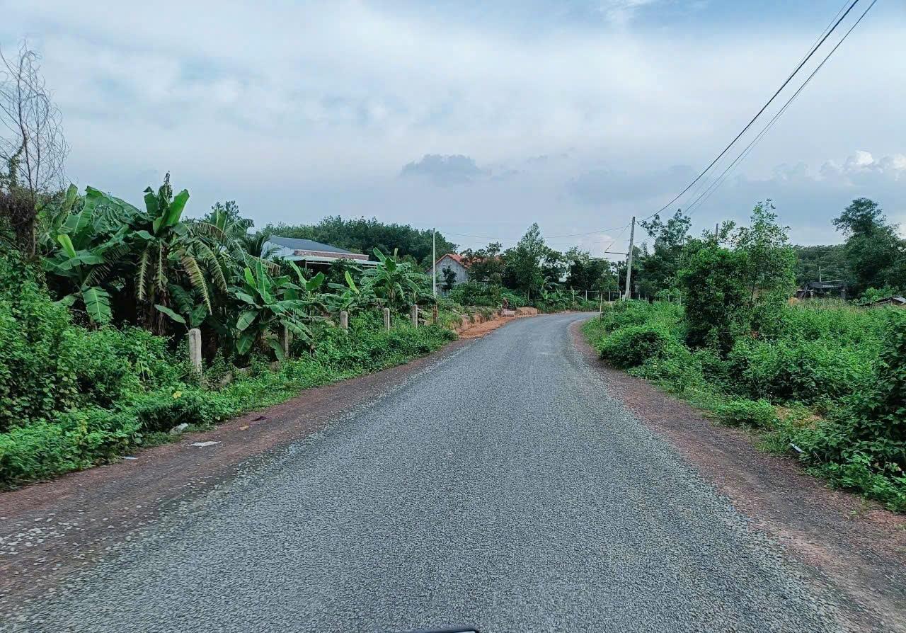 ĐẤT ĐẸP - GIÁ TỐT - CẦN BÁN NHANH LÔ ĐẤT ĐẸP TẠI thị trấn Tân Phú, huyện Đồng Phú, tỉnh Bình Phước. - Ảnh 1