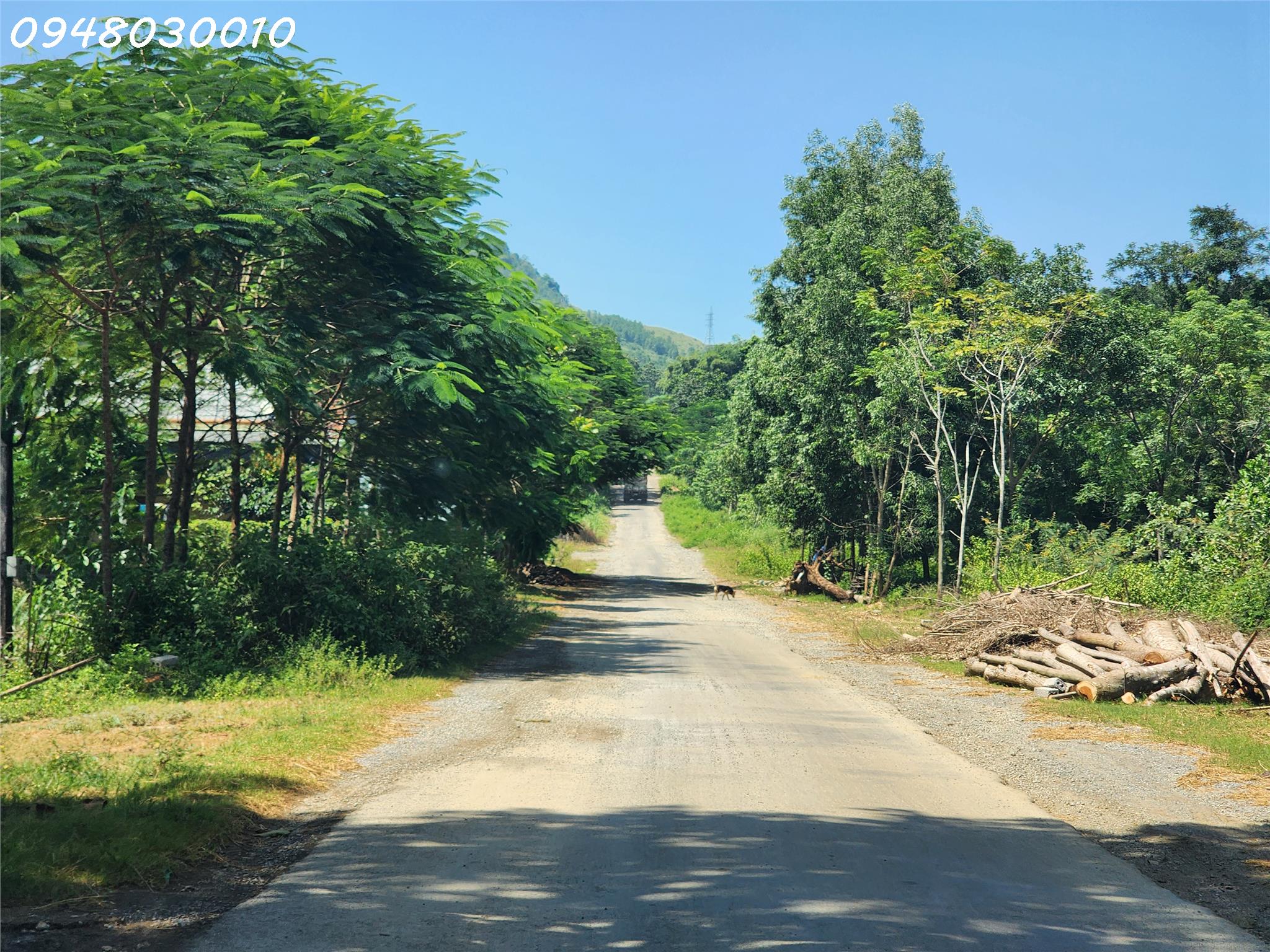 Bán đất xã Cao Ngọc, huyện Ngọc Lặc, tỉnh Thanh Hóa - Ảnh chính