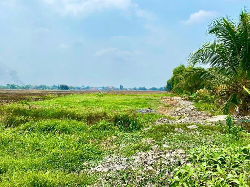 VỊ TRÍ ĐẸP - GIÁ TỐT- Chính Chủ Bán Gấp Đất Tại Xã Tân Phú, Huyện Đức Hòa, Long An - Ảnh 1