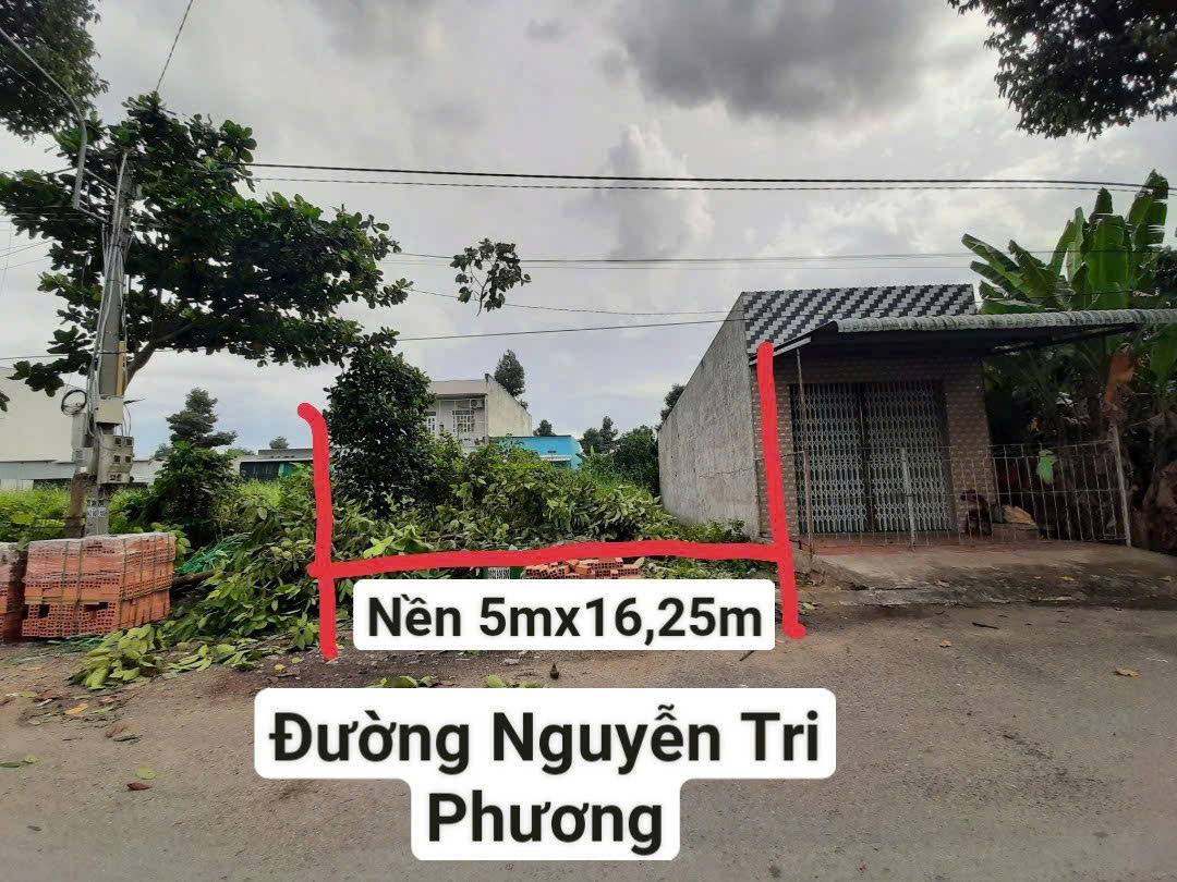 Bán 81.2m2 Nền Siêu Đẹp Cho Nhà Đầu Tư Tại Mặt Tiền Đường Nguyễn Tri Phương, Thị Trấn Mỹ An - Ảnh chính